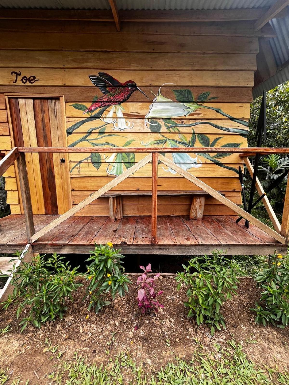 Purachata Ecolodge Iquitos Dış mekan fotoğraf