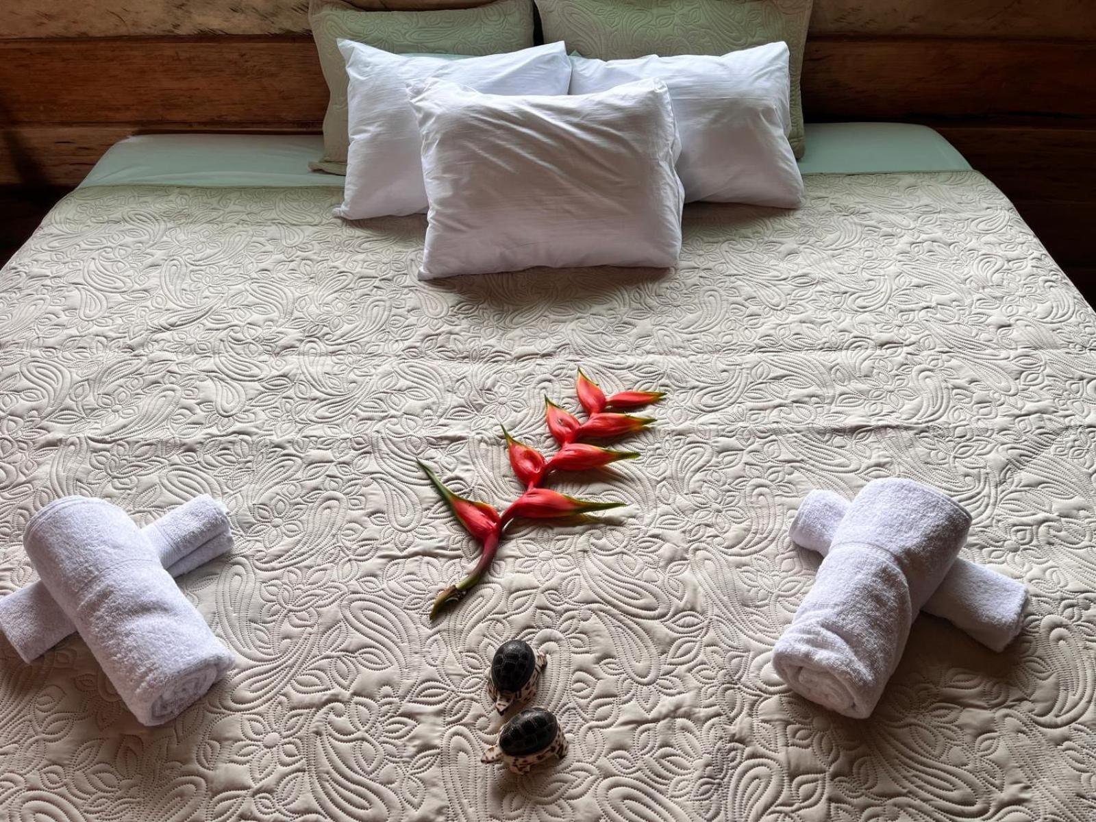 Purachata Ecolodge Iquitos Dış mekan fotoğraf
