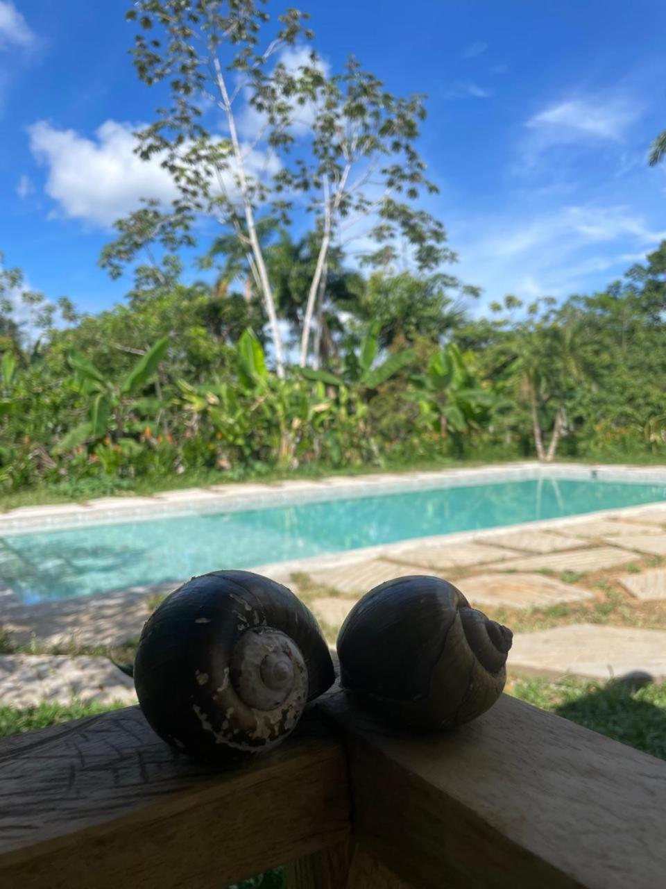 Purachata Ecolodge Iquitos Dış mekan fotoğraf