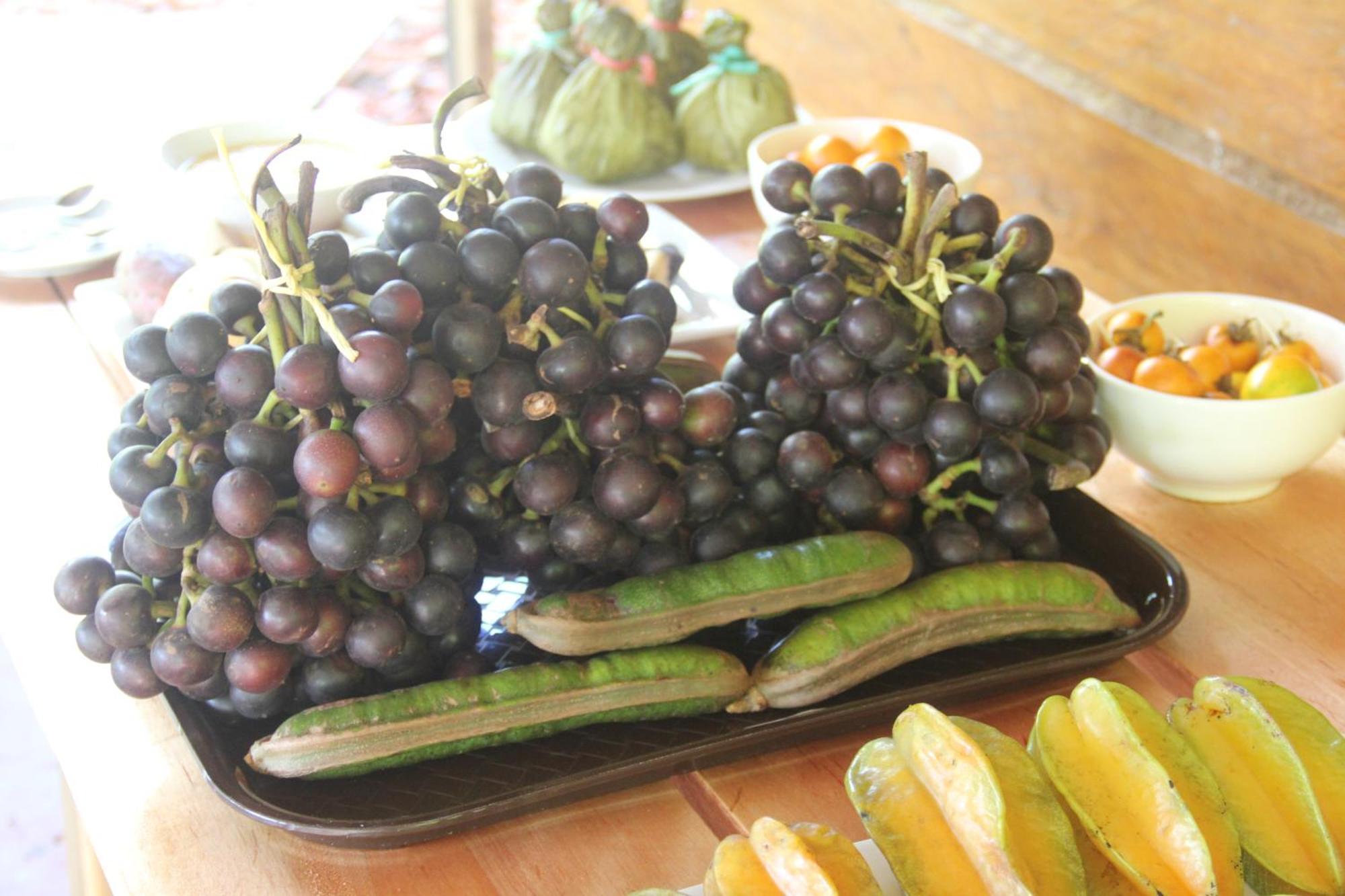 Purachata Ecolodge Iquitos Dış mekan fotoğraf