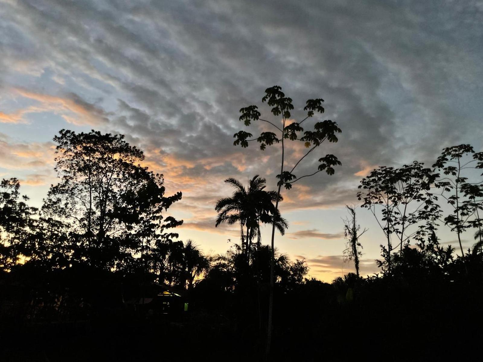 Purachata Ecolodge Iquitos Dış mekan fotoğraf