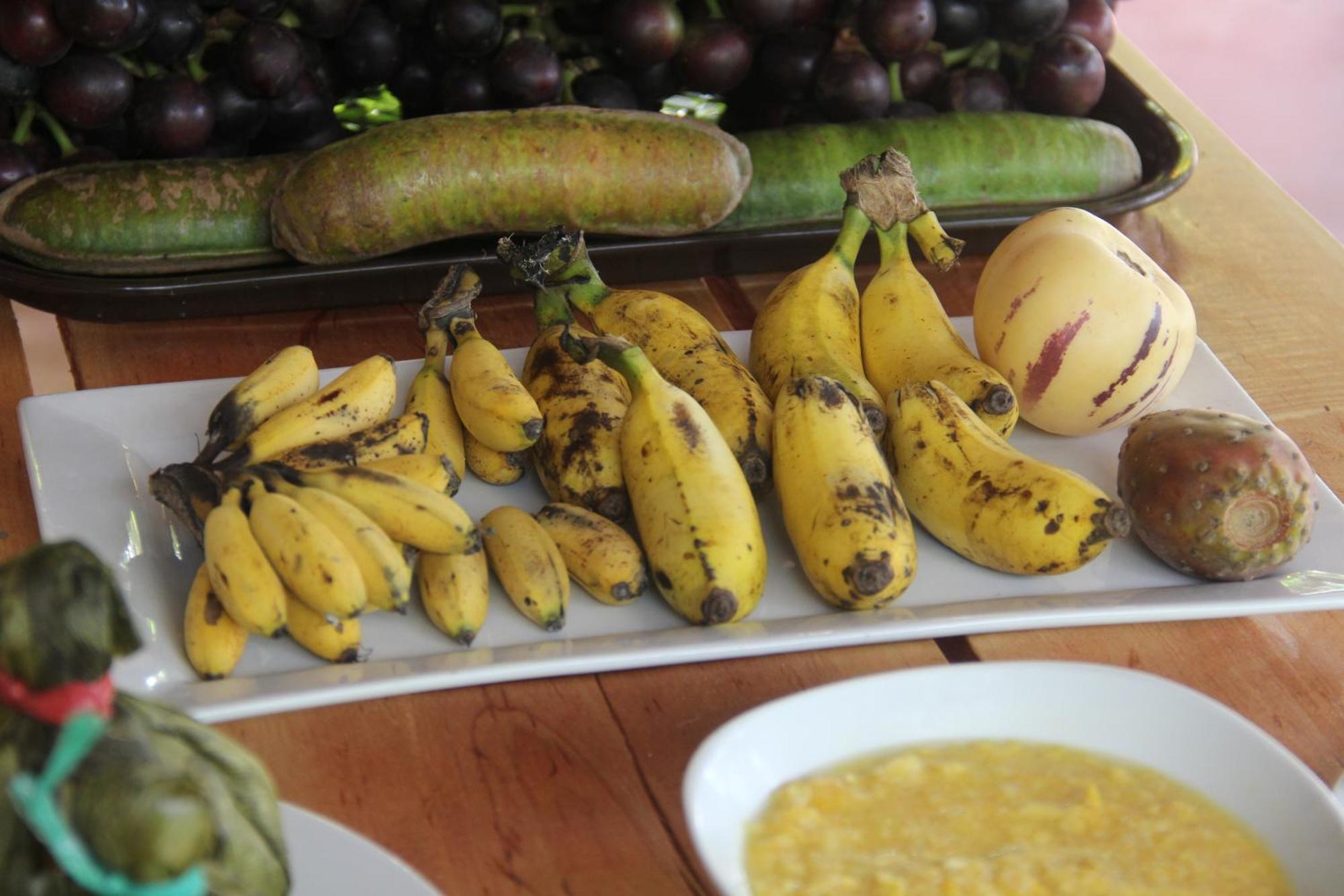 Purachata Ecolodge Iquitos Dış mekan fotoğraf