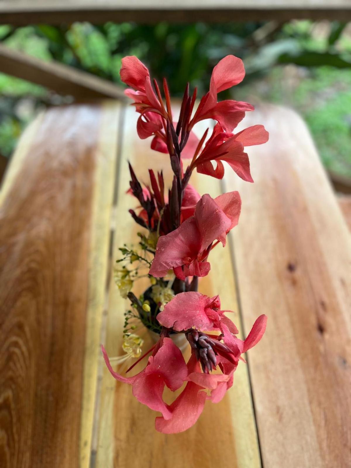 Purachata Ecolodge Iquitos Dış mekan fotoğraf