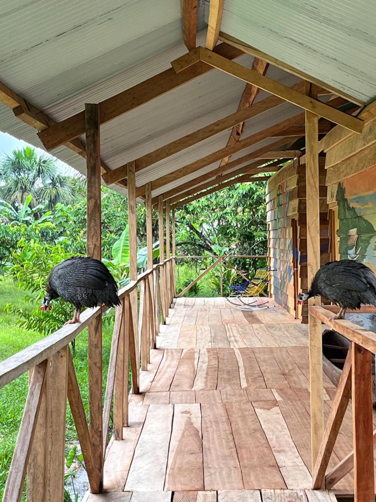 Purachata Ecolodge Iquitos Dış mekan fotoğraf