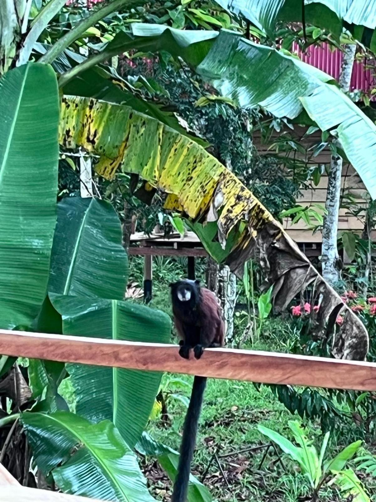 Purachata Ecolodge Iquitos Dış mekan fotoğraf