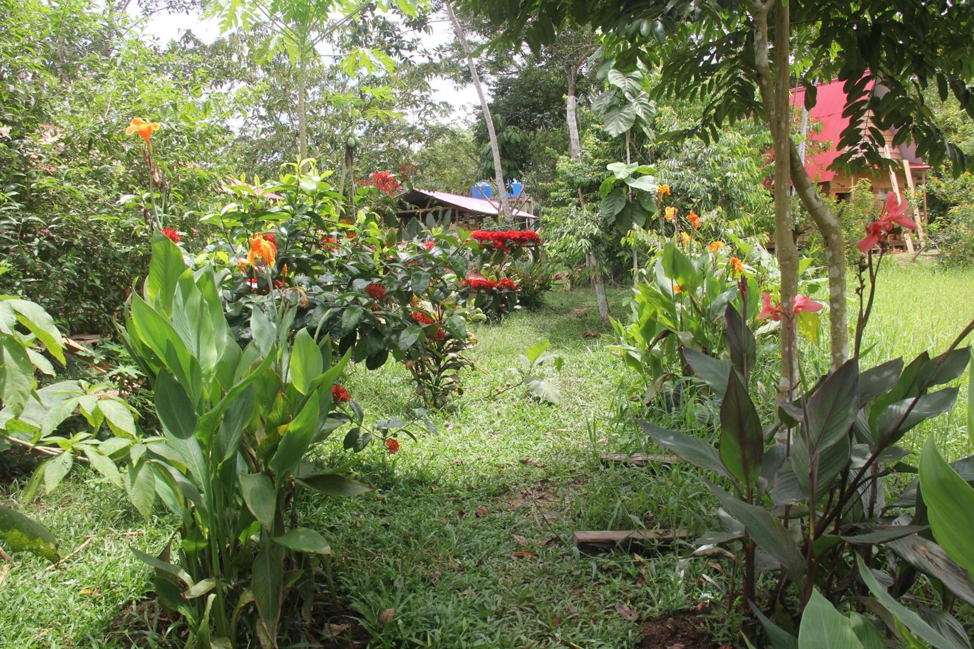 Purachata Ecolodge Iquitos Dış mekan fotoğraf